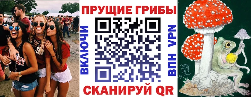 Псилоцибиновые грибы Cubensis  кракен ONION  Тейково 