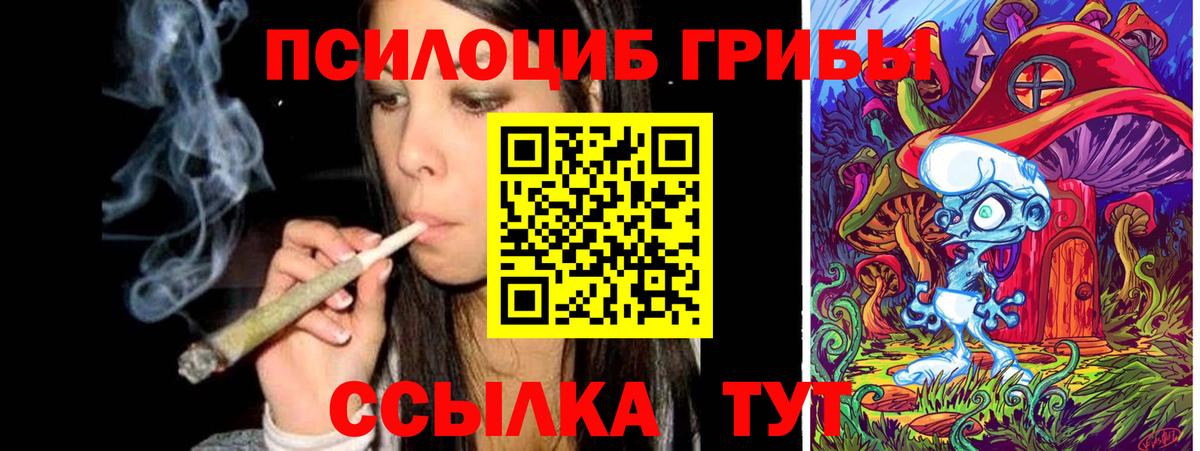 Псилоцибиновые грибы GOLDEN TEACHER Тейково