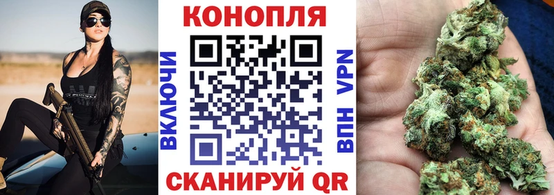 Бошки марихуана Ganja  где найти   Тейково 